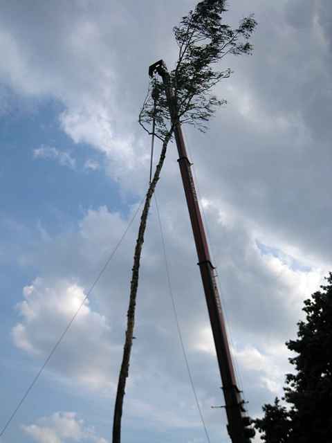 Maibaum der Feuerwehr