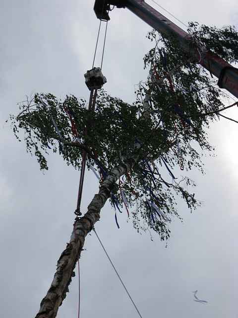 Maibaum der Feuerwehr