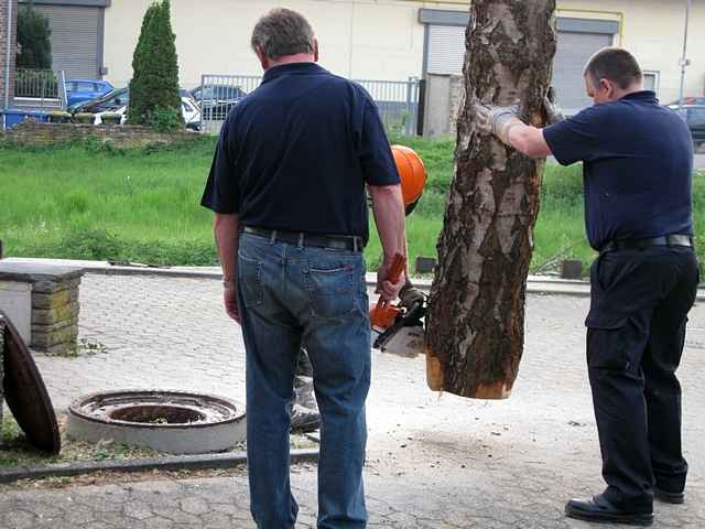 Maibaum der Feuerwehr