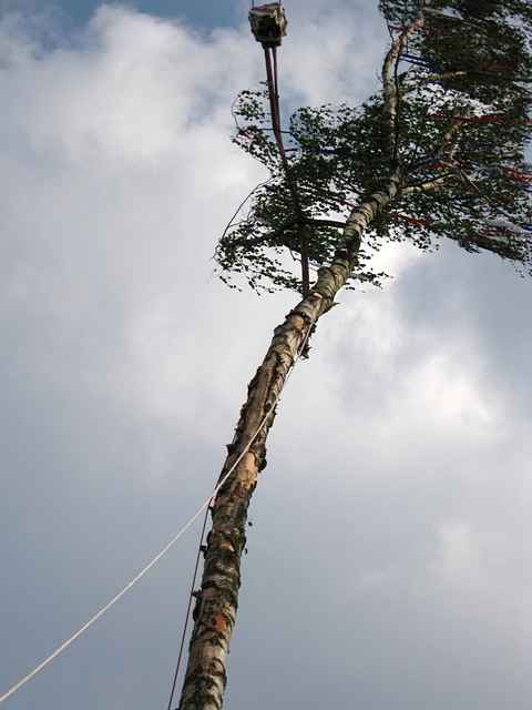 Maibaum der Feuerwehr