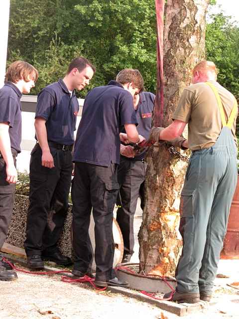 Maibaum der Feuerwehr