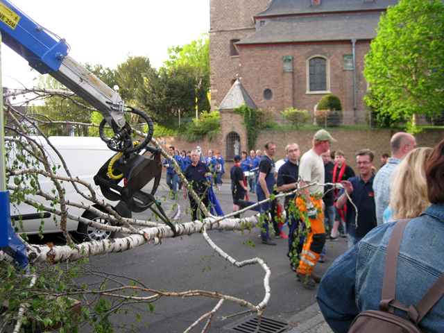 Maibaum der Feuerwehr