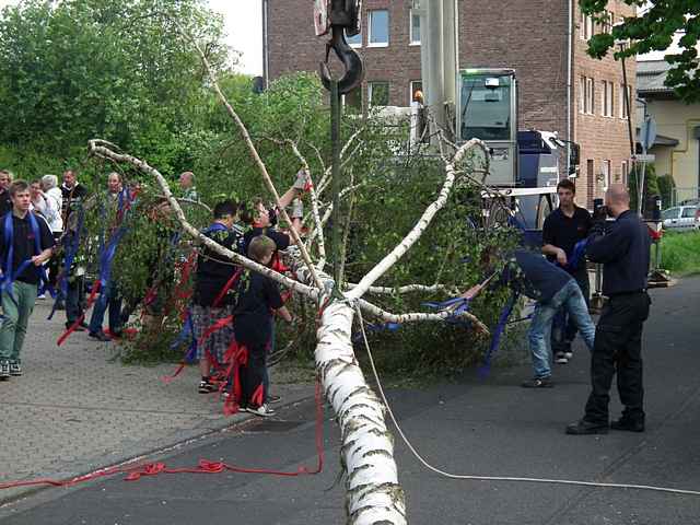 Maibaum der Feuerwehr