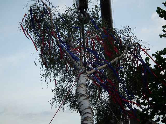 Maibaum der Feuerwehr