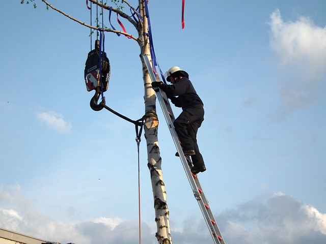 Maibaum der Feuerwehr