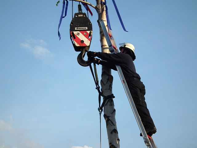 Maibaum der Feuerwehr