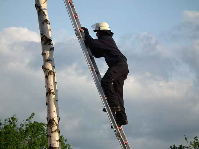 Maibaum der Feuerwehr