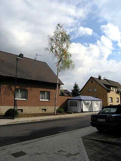 Maibaum 2006 der Elisabethstrae