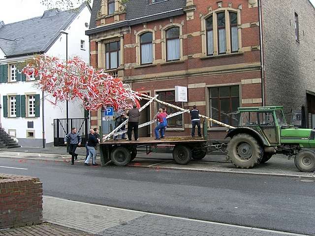 Maibaum 2006 des FC-Fan-Clubs