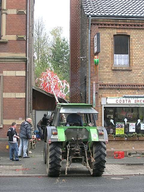 Maibaum 2006 des FC-Fan-Clubs