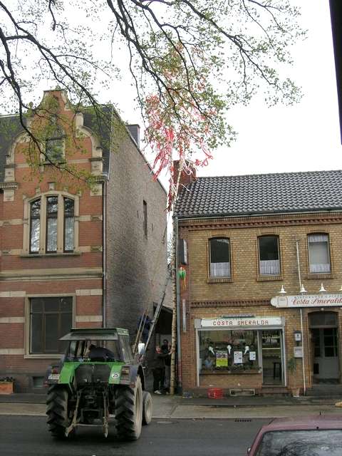 Maibaum 2006 des FC-Fan-Clubs