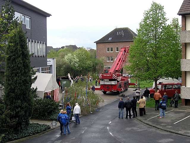 Maibaum 2006 der Feuerwehr