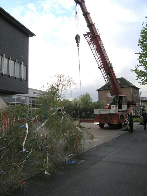 Maibaum 2006 der Feuerwehr