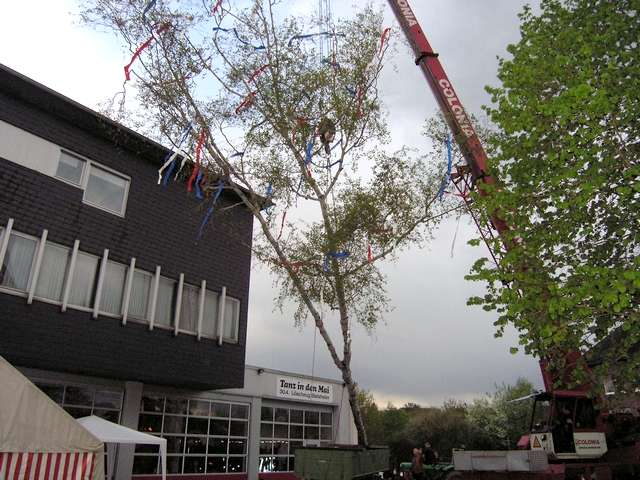 Maibaum 2006 der Feuerwehr