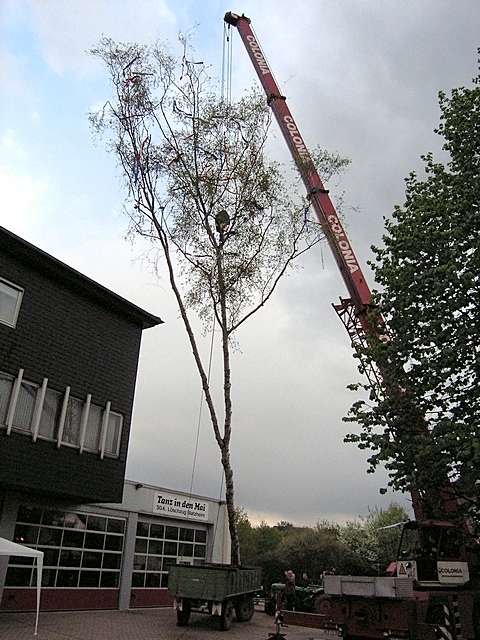 Maibaum 2006 der Feuerwehr