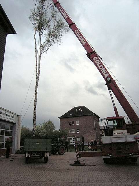 Maibaum 2006 der Feuerwehr