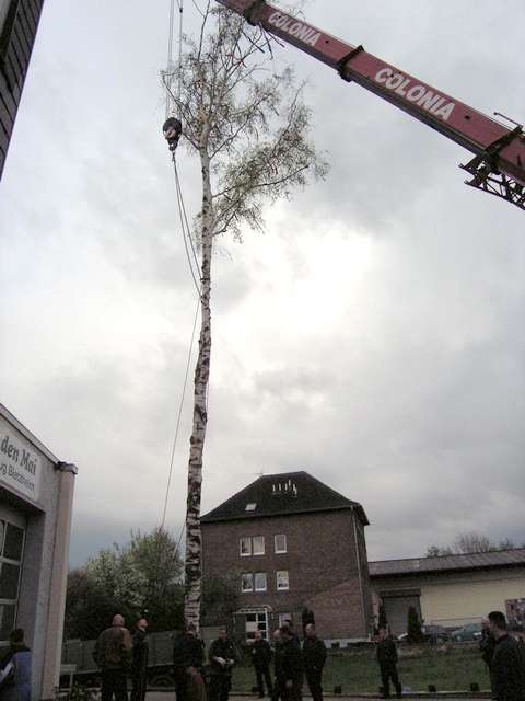 Maibaum 2006 der Feuerwehr