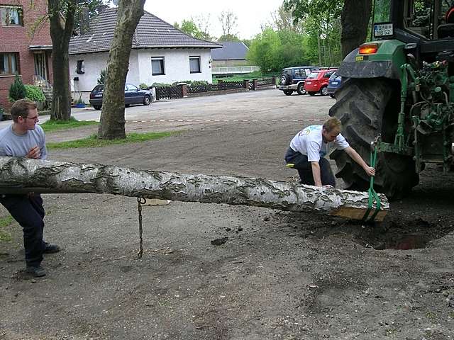 Maibaum der Jungschtzen