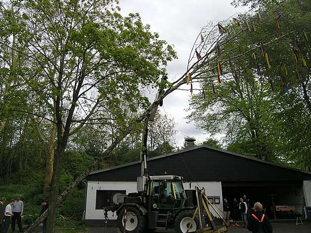 Maibaum der Jungschtzen