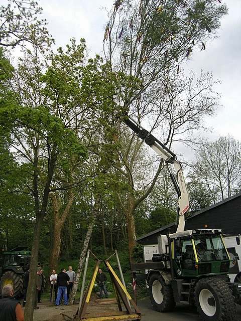 Maibaum der Jungschtzen