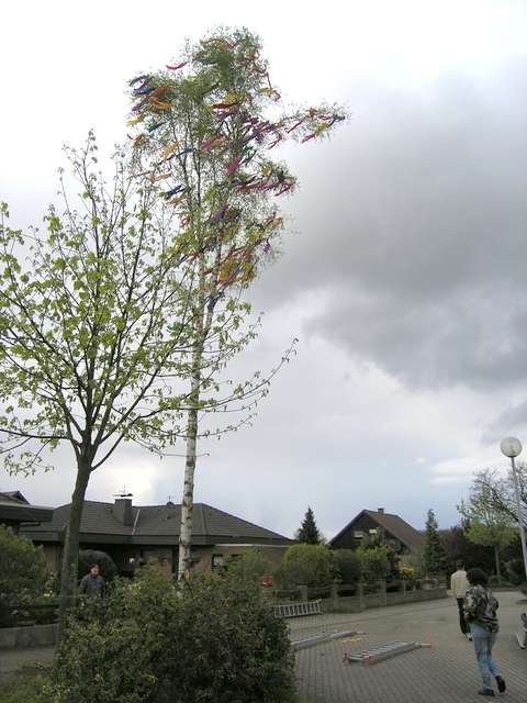 Maibaum 2006 der Mohle