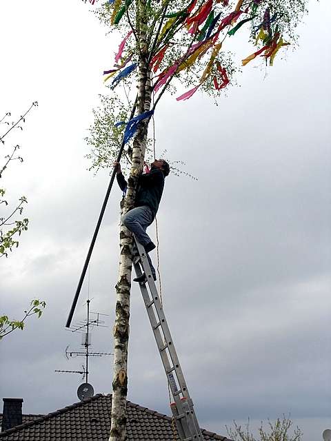 Maibaum 2006 der Mohle