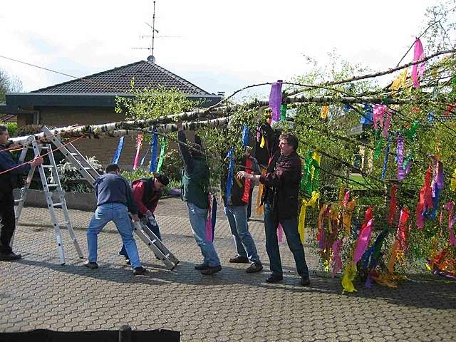 Maibaum 2006 der Mohle