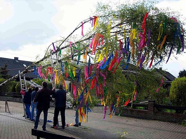 Maibaum 2006 der Mohle