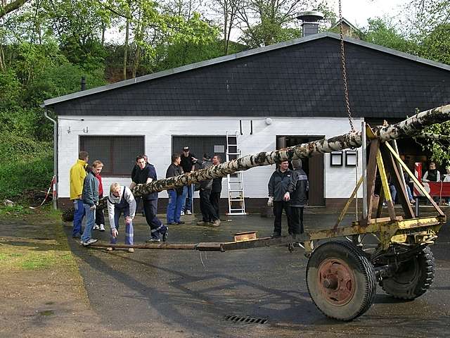 Maibaum 2006 der Jungschtzen