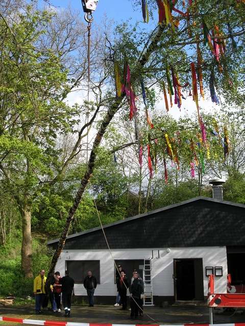 Maibaum 2006 der Jungschtzen