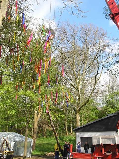 Maibaum 2006 der Jungschtzen