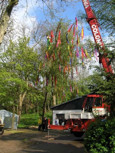 Maibaum 2006 der Jungschtzen