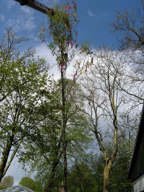 Maibaum 2006 der Jungschtzen