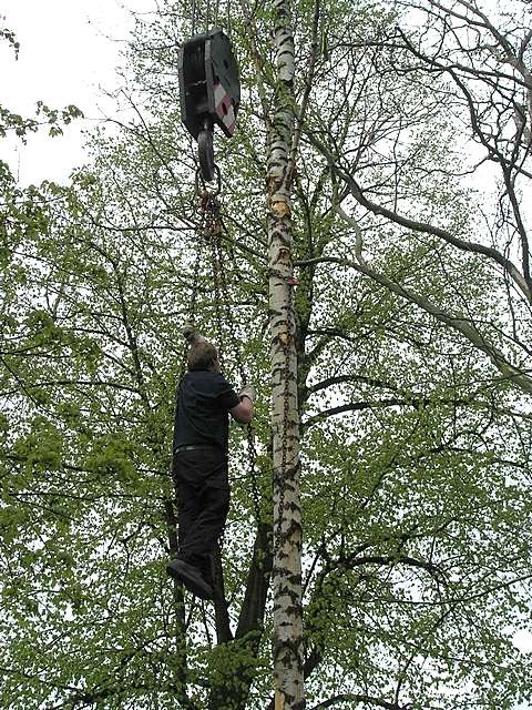 Maibaum 2006 der Jungschtzen