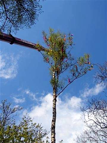 Maibaum 2006 der Jungschtzen