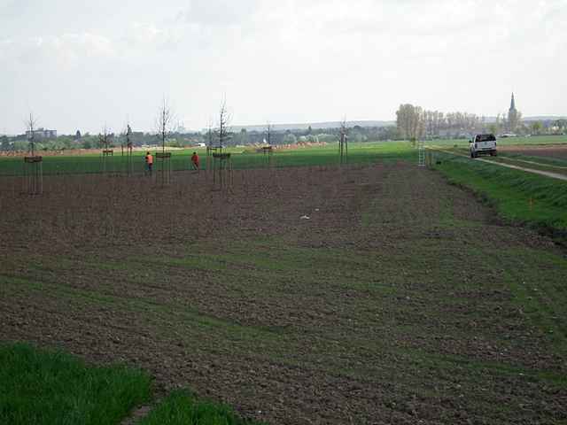 Spatenstich Ortseingrnung