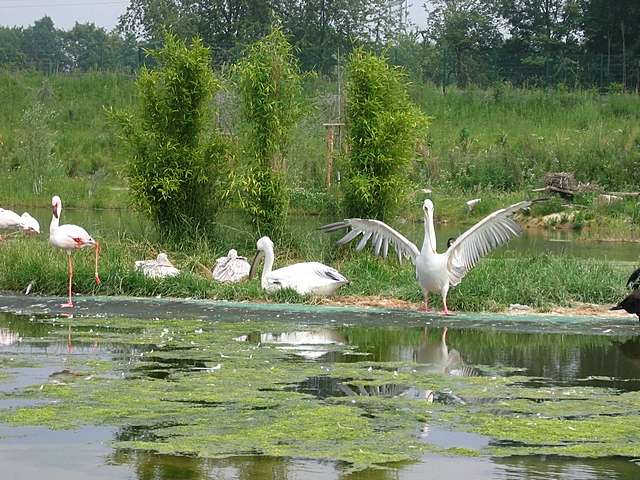 Messdiener-Ausflug 2007