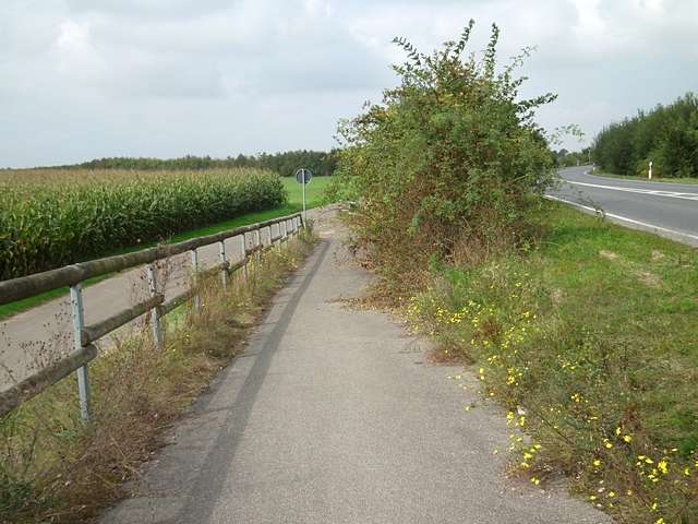 Strucher ragen in Radweg