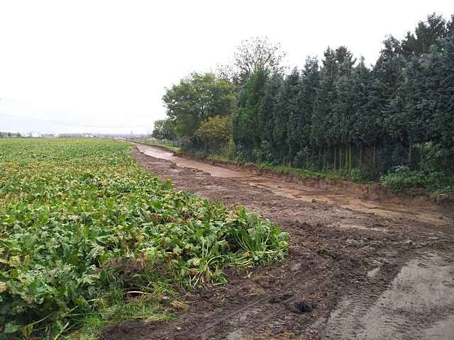 Neuer Radweg ab Bergerhausen