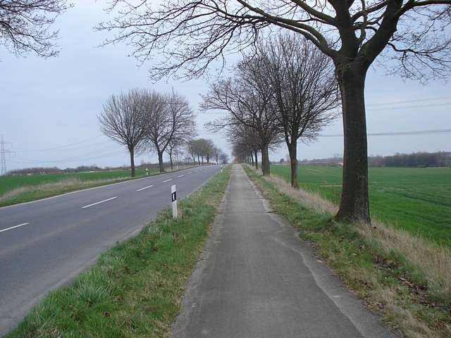 Radweg an der L276