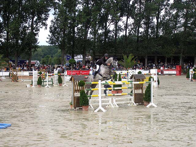 Reiturnier auf dem Wirtgeshof