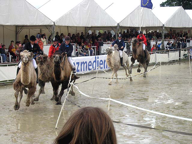 Reiturnier auf dem Wirtgeshof