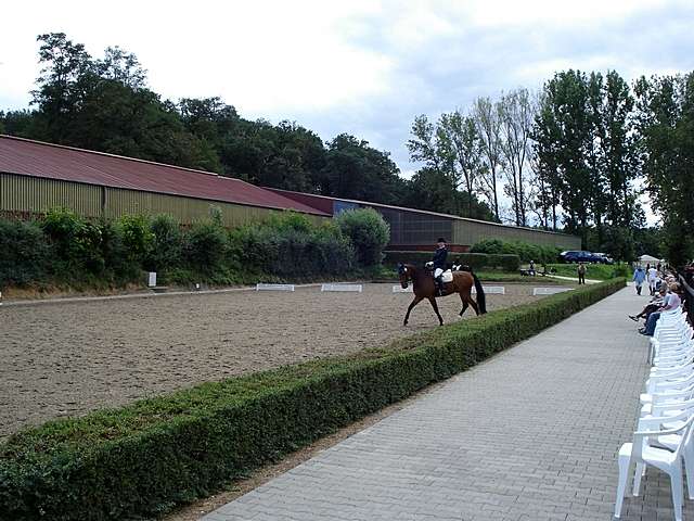 Reiturnier auf dem Wirtgeshof