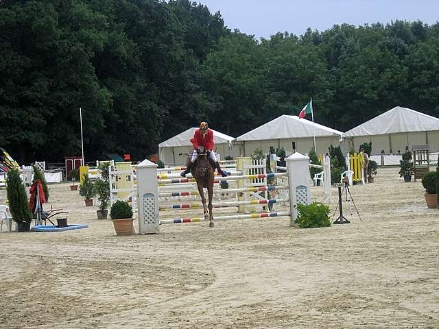 Reiturnier auf dem Wirtgeshof