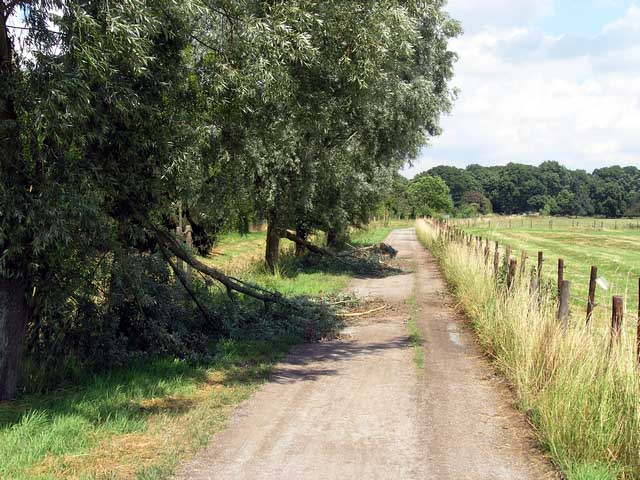 Sturmschden am Neffelbach