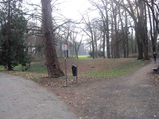 Radweg im Park