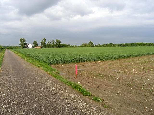 Mais-Lager bei Dorsfeld geplant