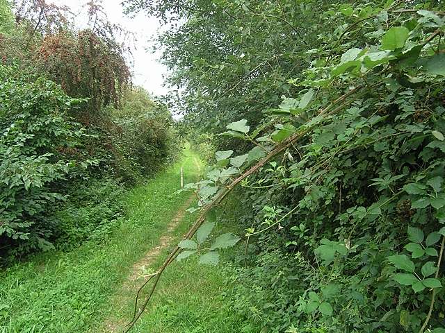 Wanderweg freischneiden