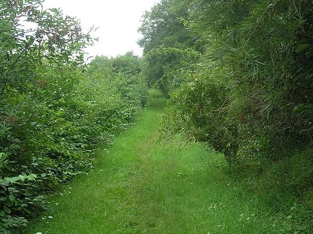 Wanderweg freischneiden