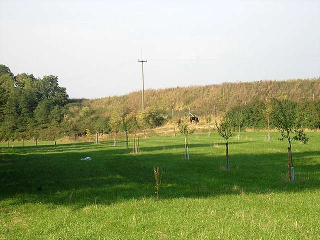 Obstwiese am Neffelbach